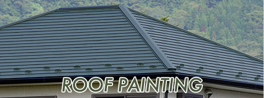 ROOF PAINTING